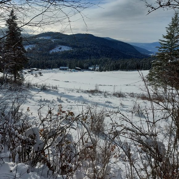 Meet your Posher, TL - Picture 10 of 14